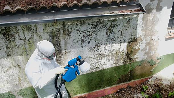 Top rated local Mold Remediation specialists in Gulf, NC